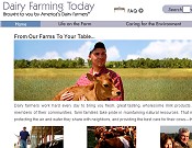 man and dairy calf